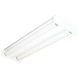 American Fluor #EG21758 24 2LGT Grid Light