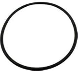 Pentair American Products Eclipse Side Mount Sand Filter Lid O-Ring 52000500