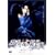 �Q�̖�̉H�ѕz [DVD]