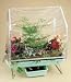 Greenhouse; Indoor; Automatic watering