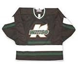 Michigan K-Wings International Hockey League Jersey