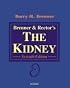 Benner & Rector's the Kidney (2 vol set)