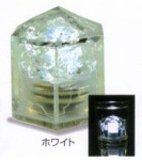 DAITO �N���X�^���L�����h�� �z���C�g 0134