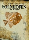 Die Fossilien von Solnhofen, Bd.1