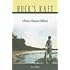 Huck's Raft: A History of American Childhood
