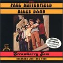 The Paul Butterfield Blues Band - Just to Be With You Lyrics - Zortam Music