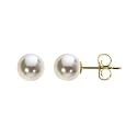 18k Yellow Gold Finest Akoya Cultured Pearl Stud Earrings, 5.5-6mm.