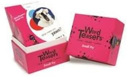 Wordteasers Flash Cards Small Fry By Word Teasers