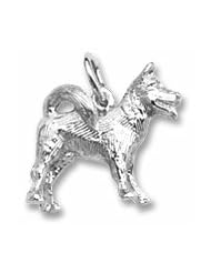 Akita Charm