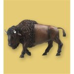 Bison （バッファロー）