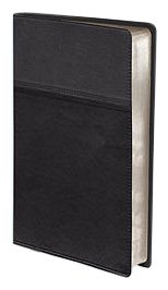 NIV Thinline Bible