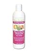 Spa Scents Revitalizing Shampoo for Dogs and Cats - Kiwi Mango 12 fl oz. Bottle