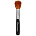 Bare Escentuals Mineral Brush Tapered Blush Brush