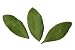 Bay Leaves Whole Organic