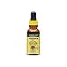 Burdock Root Alcohol Free Extract - Promotes Healthy Blood Levels, 1 oz,(Nature's Answer)