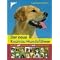 Sonstiges zum Thema Hund