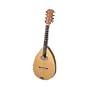 Octave Mandolin