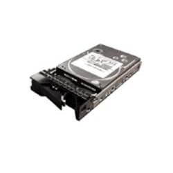 Lenovo ThinkServer - Hard drive - 250 GB - hot-swap - 3.5 - SATA-300 by Lenovo