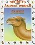 Camels: Ships of the Desert (Secrets of the Animal World)