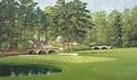 Golf Chair Rail Mural
