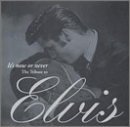 It's Now or Never - The Tribute to Elvis Presley