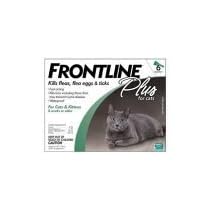 Merial Frontline Plus Flea and Tick Control for Cats and Kittens, 6 Doses