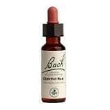 Chestnut Bud Tincture 20 ml, 0.70 fl. oz.