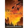 A Fire in the North: Annals of Lindormyn 2