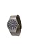 Skagen