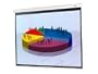100IN Diagonal Manual Pull Down White 4:3 Projection Screen