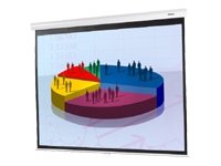 120IN Diagonal Manual Pull Down White 4:3 Projection Screen
