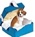 Beagle Dogs Unique Gift Box Christmas Ornament New