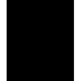 Impact Muslin Background - 10 x 12' (Black) (Electronics)