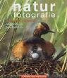 Naturfotografie.