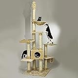 Kitty Pavilion