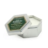Winter Forest Scented Candle