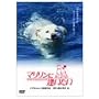 �}�������Ɉ������� [DVD]