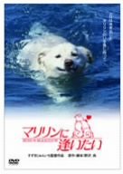 マリリンに逢いたい [DVD] by 安田成美加藤昌也鈴木清順三浦友和