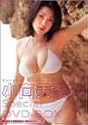 小向美奈子 Special DVD-BOX