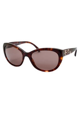 Fashion Sunglasses: Tortoise/Brown