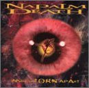 Napalm Death - Inside The Torn Apart - Zortam Music