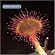 Primordia
