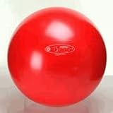 Sporting Goods : Gymnic 55cm Therapy Ball