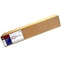 Epson Premierart 13 Inch x 20 Feet Water Resistant Canvas (SP91220)