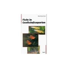 Fische im Gesellschaftsaquarium