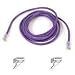 Belkin 50ft  CAT5E Purple Patch Cord Snagless