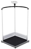 Large hand-rail scale for multifunctional use, with firm railing, high load-bearing capacity and BM