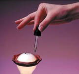 Diffuser- Light Bulb Ring, Ceramic