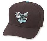 Knoxville Cherokees East Coast Hockey League Cap