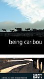 Being Caribou